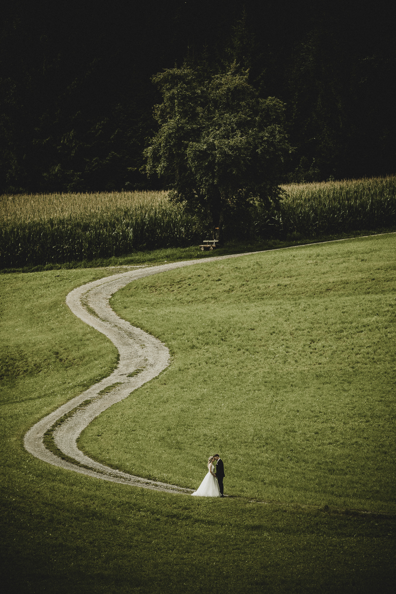 Export x3 5D4 8324 Hochzeit 2017 Selina und Markus